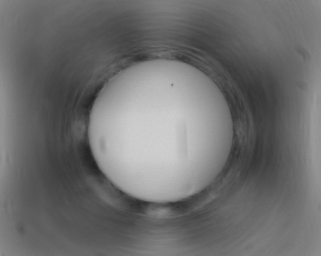 X0000114700602200910211011