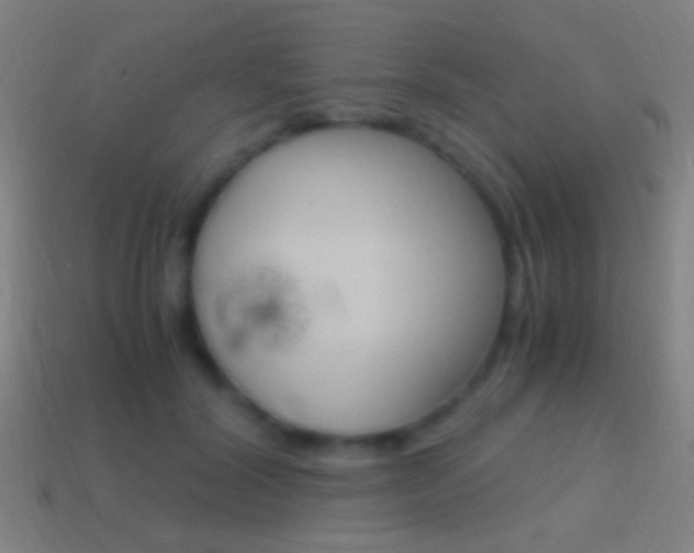 X0000114700604200910211011