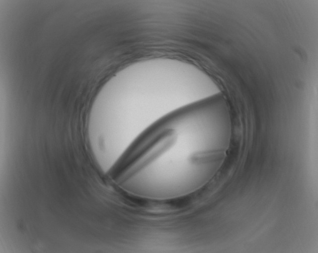 X0000114700605200910211011