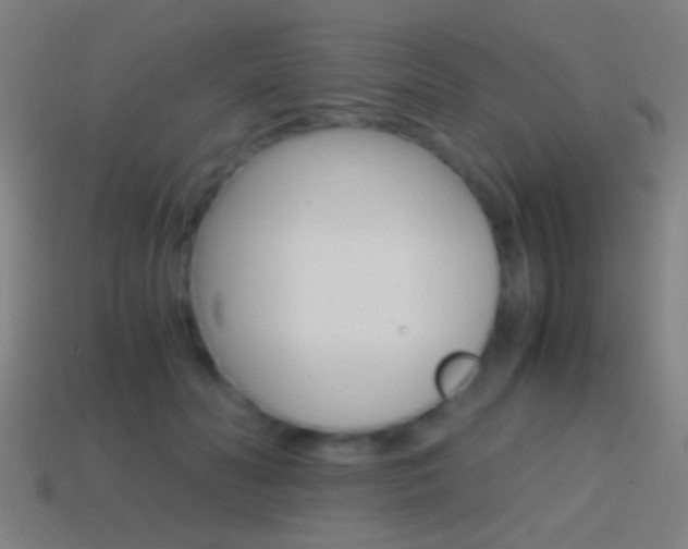 X0000114700606200910211011