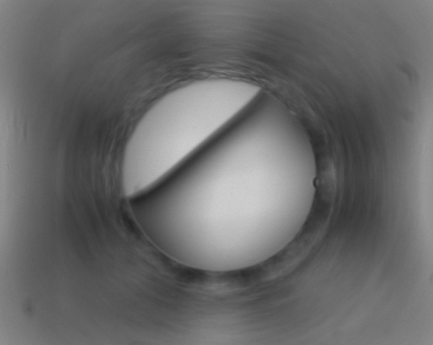 X0000114700608200910211011