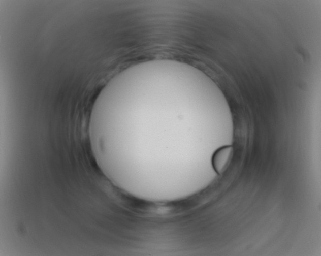 X0000114700610200910211010