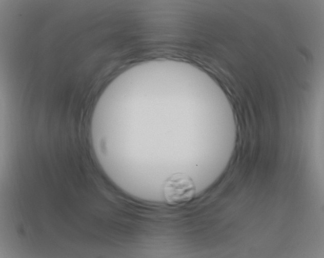 X0000114700611200910211010