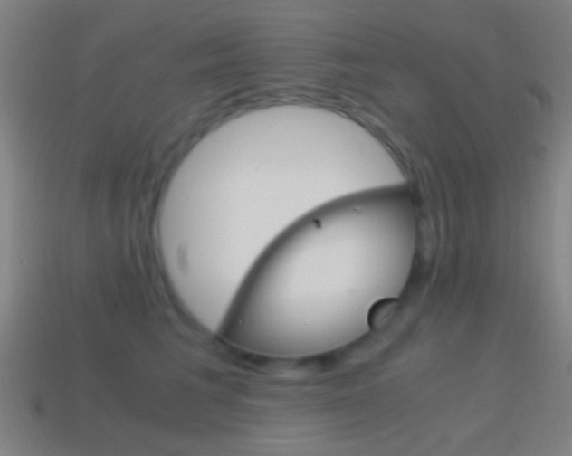 X0000114700613200910211010