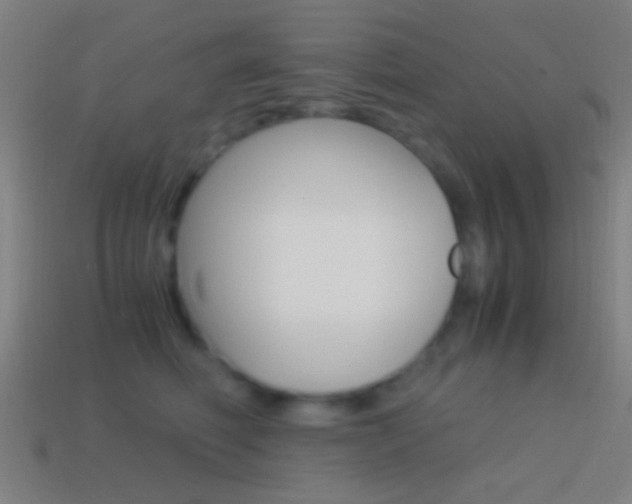 X0000114700614200910211010