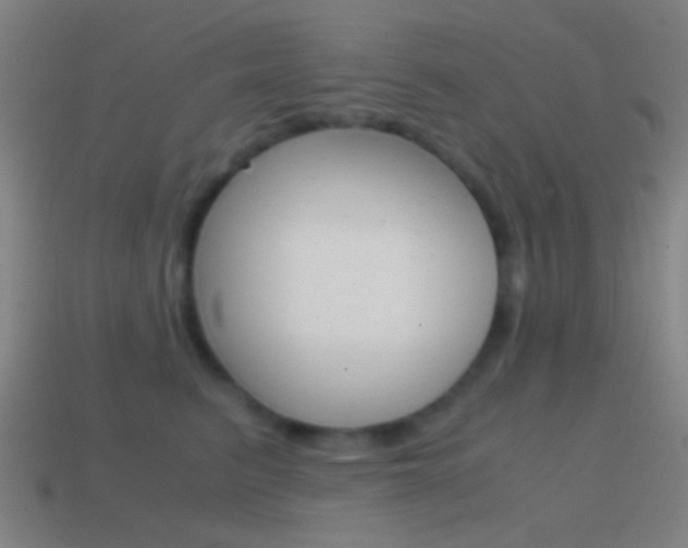 X0000114700615200910211010