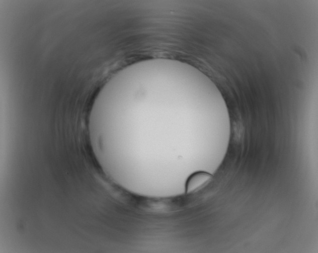 X0000114700618200910211010