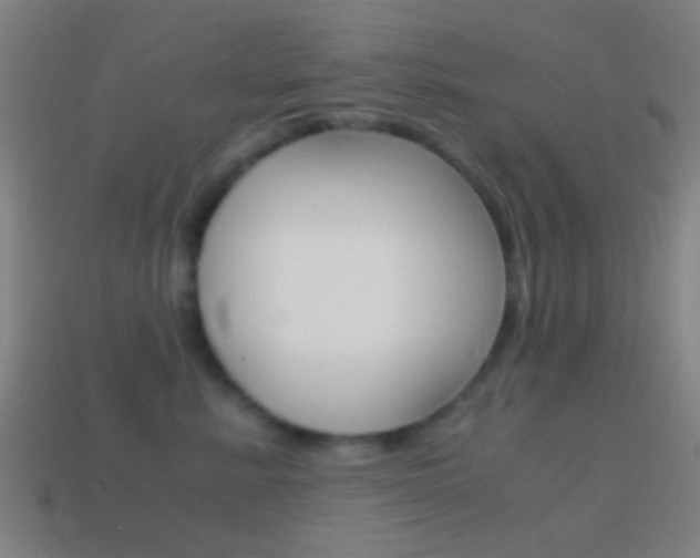 X0000114700619200910211010
