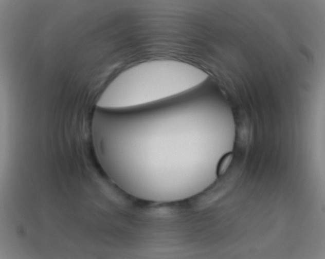 X0000114700620200910211010