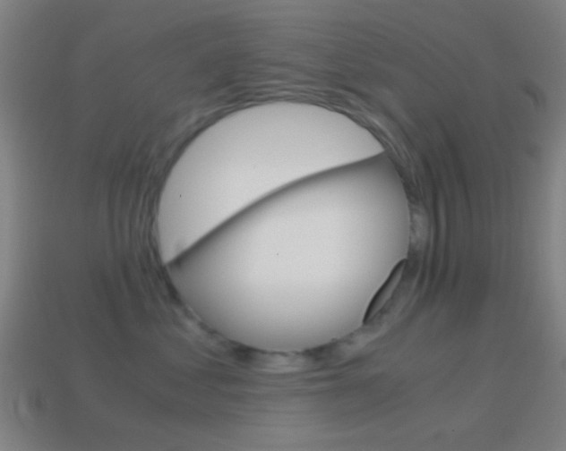 X0000114700621200910211010