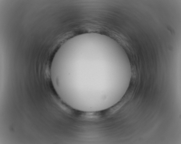 X0000114700622200910211010