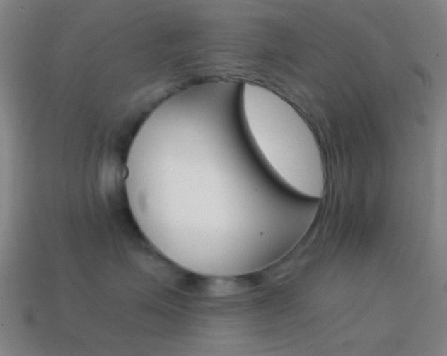 X0000114700623200910211010