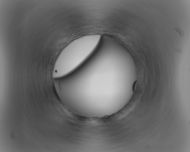 X0000114700624200910211010