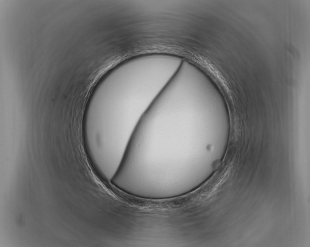 X0000114700625200910211010