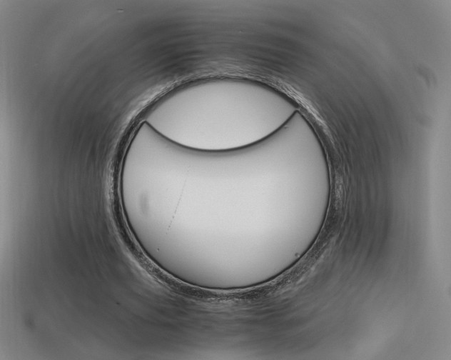 X0000114700629200910211010