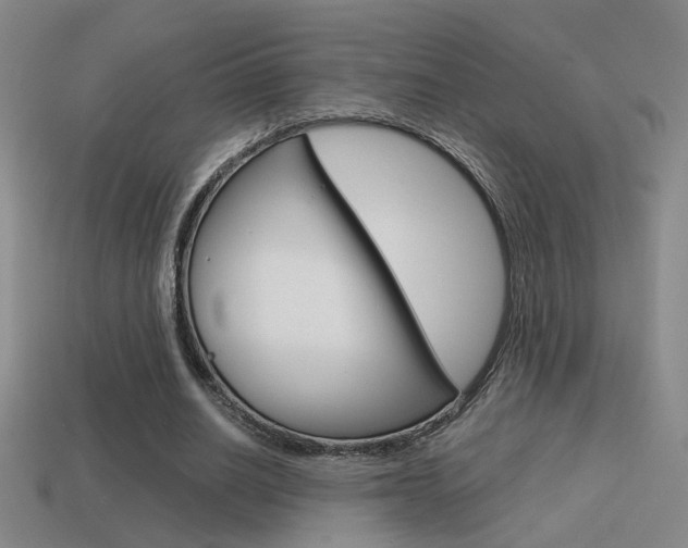 X0000114700630200910211010