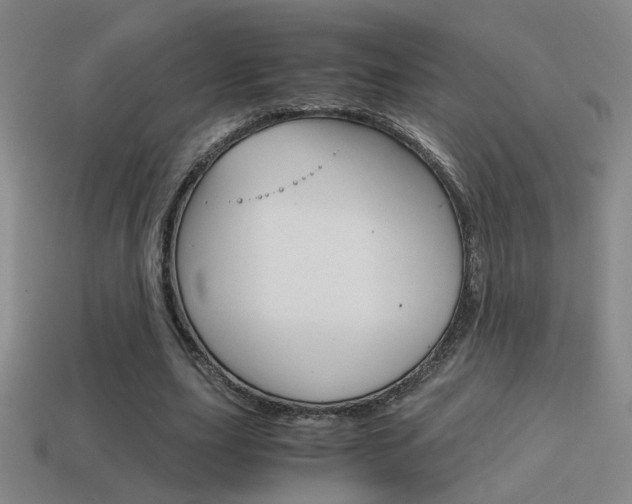 X0000114700631200910211010