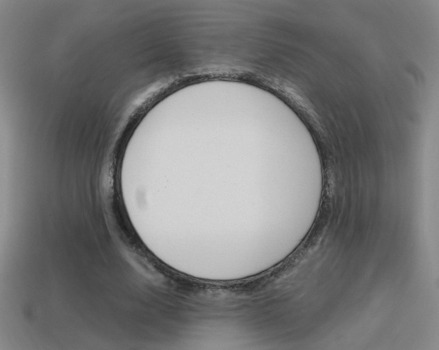 X0000114700632200910211010
