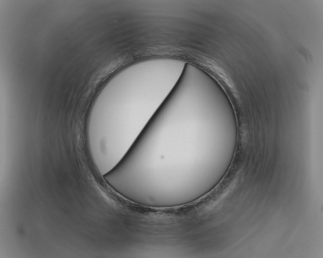 X0000114700633200910211010