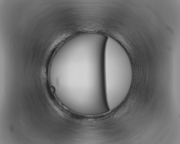 X0000114700634200910211010