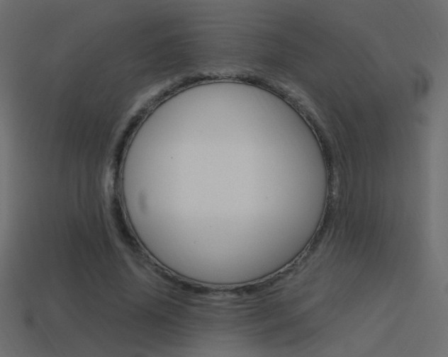 X0000114700636200910211010