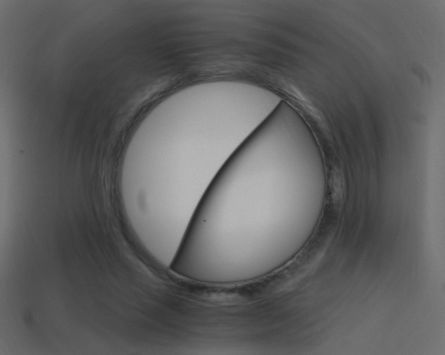 X0000114700637200910211010