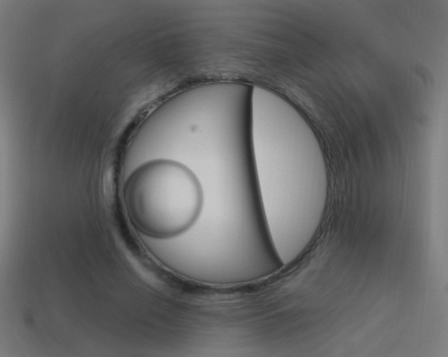 X0000114700638200910211010