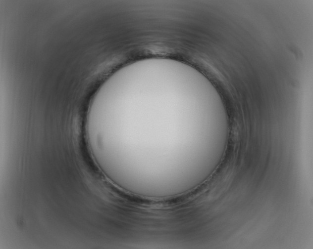 X0000114700639200910211010