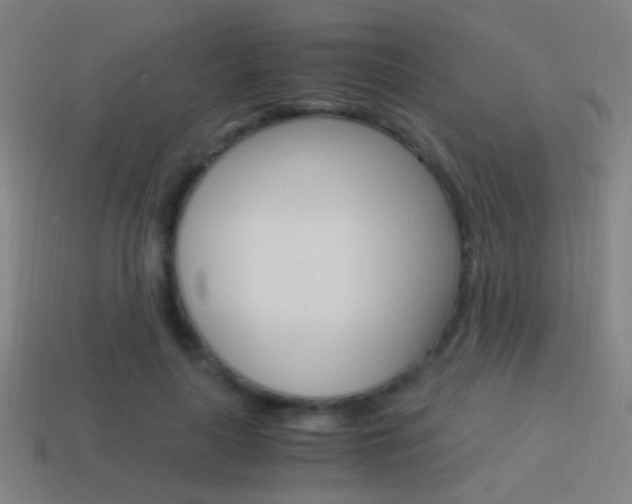 X0000114700643200910211010
