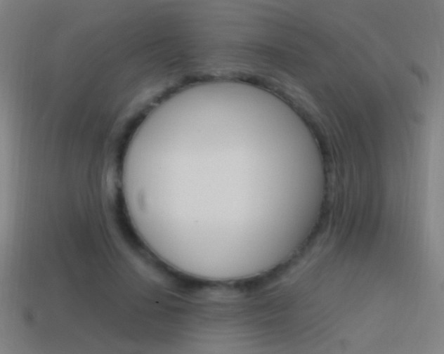 X0000114700644200910211010