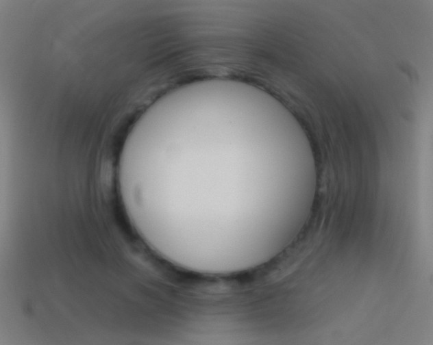 X0000114700646200910211010