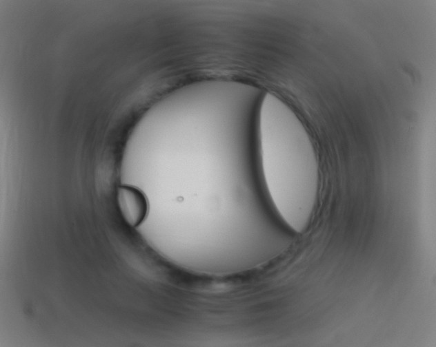 X0000114700647200910211010