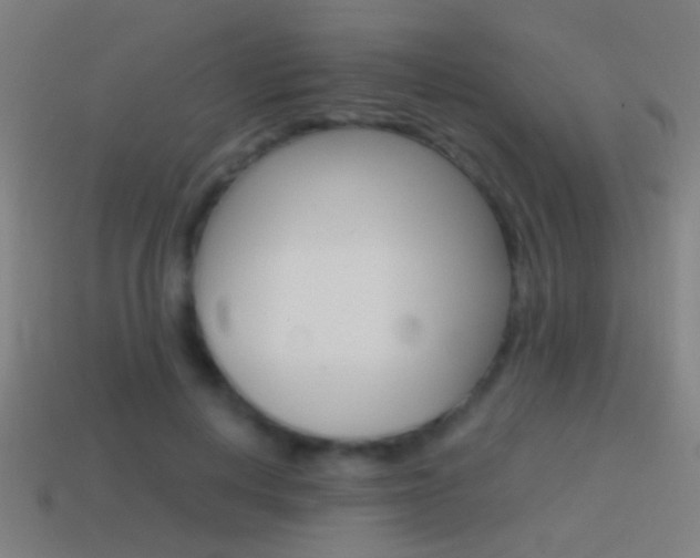 X0000114700648200910211010