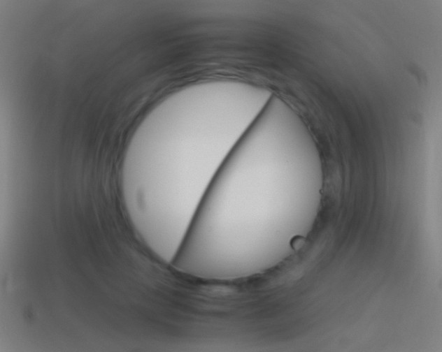 X0000114700649200910211010