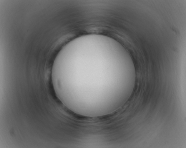 X0000114700652200910211010