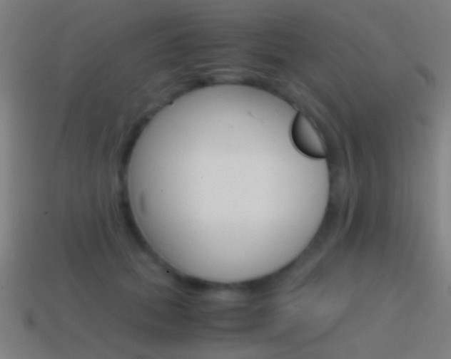 X0000114700655200910211010