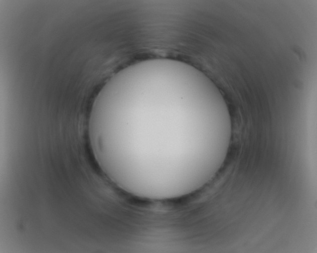 X0000114700656200910211010