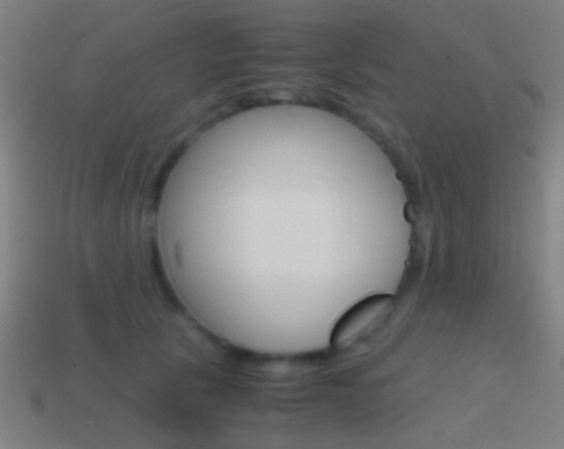 X0000114700657200910211010