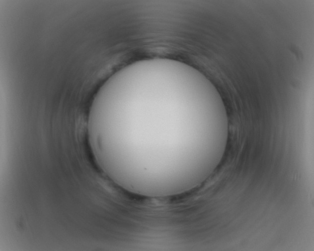 X0000114700660200910211010