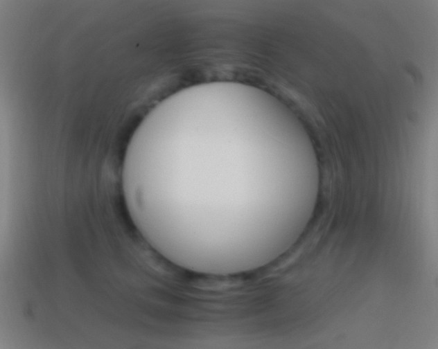 X0000114700661200910211010