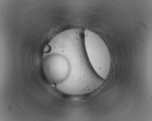 X0000114700662200910211010