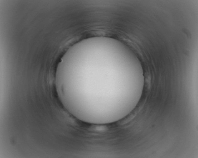 X0000114700665200910211010