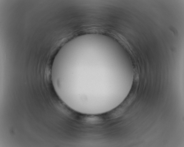 X0000114700669200910211010