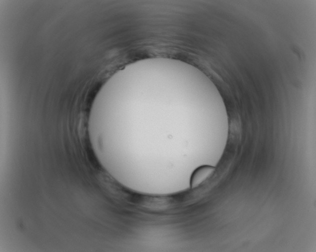 X0000114700671200910211010
