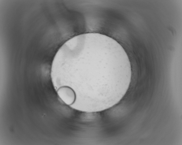 X0000114700672200910211010