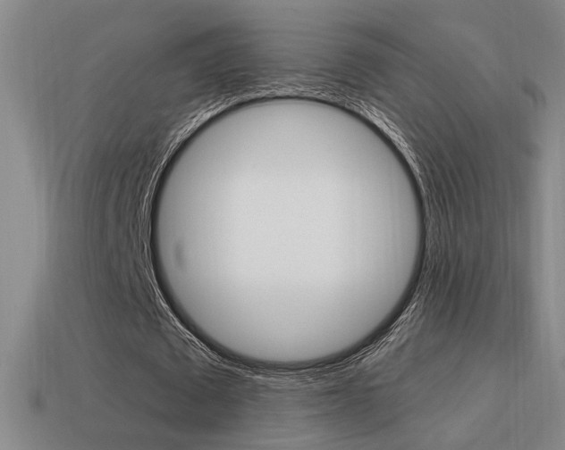 X0000114700673200910211010