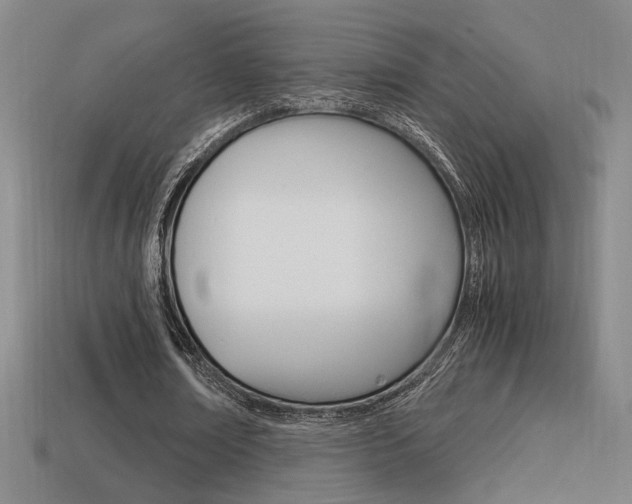 X0000114700674200910211010