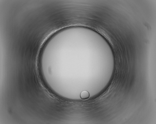 X0000114700676200910211009