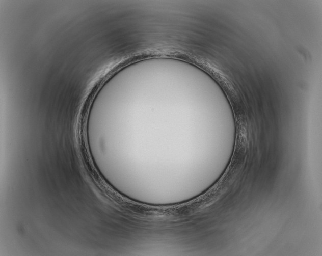 X0000114700678200910211009