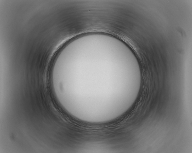 X0000114700680200910211009